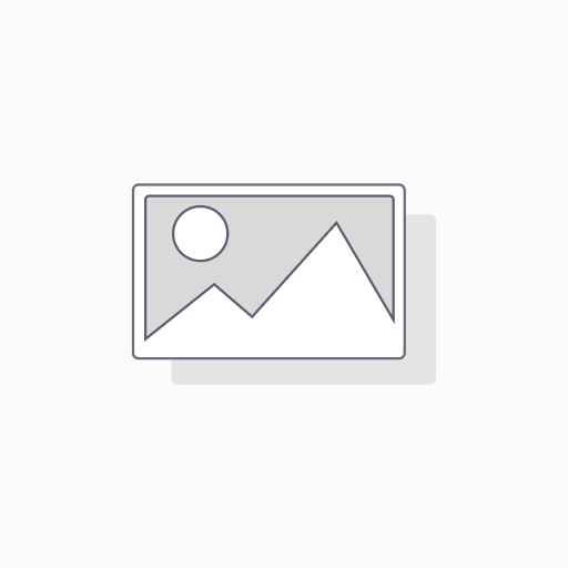 Borisa Shop Monthly Subscription